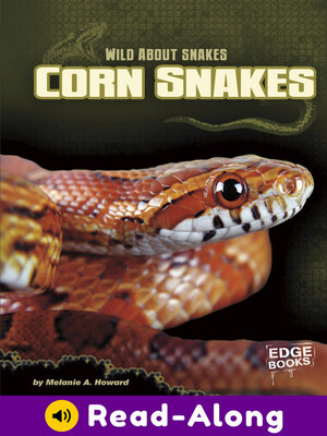 cover image of Corn Snakes
